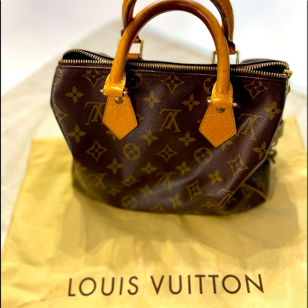 LV Speedy 25 bag